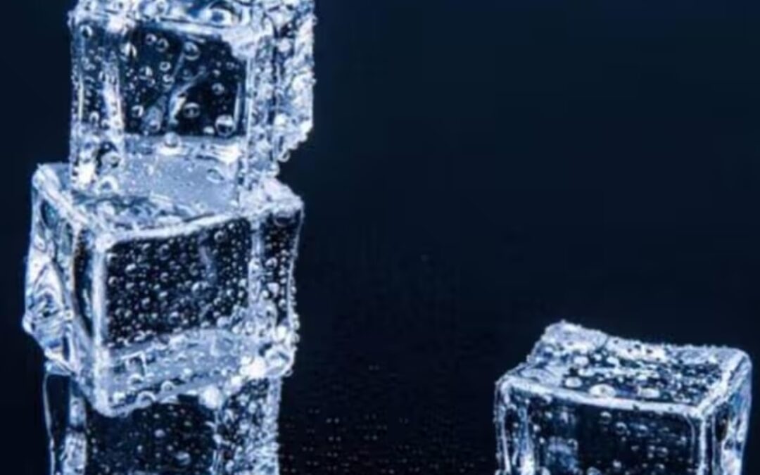 ice cube business 1